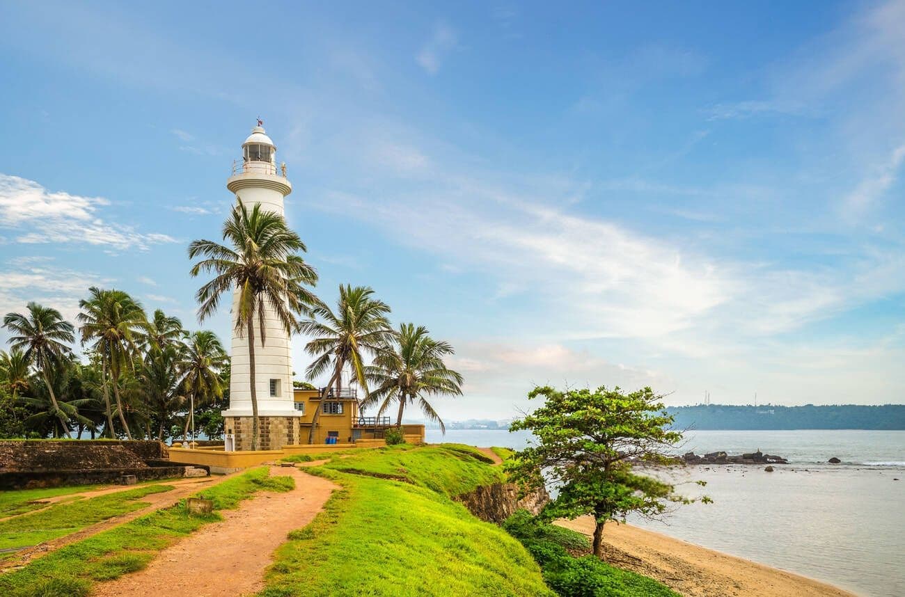 Explore the South Coast